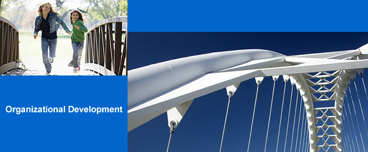 Organizational Development